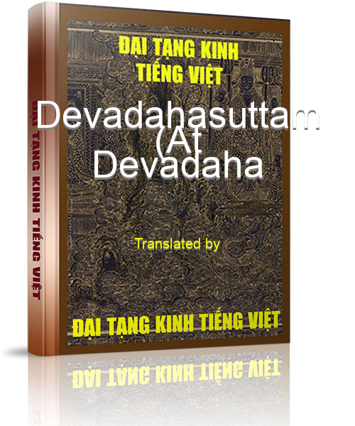 Đại Tạng Kinh Việt Nam